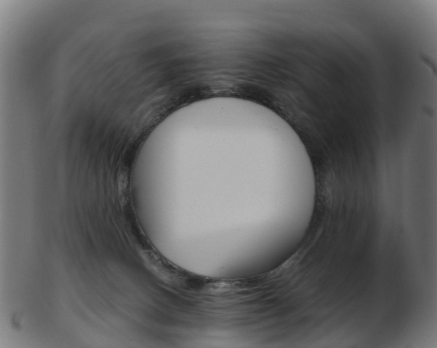 X0000103500082200809121021