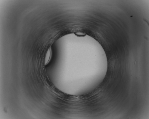 X0000103500083200809121021