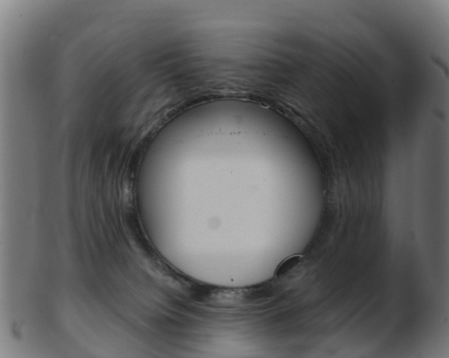 X0000103500084200809121021