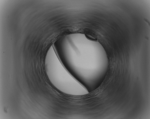 X0000103500085200809121021