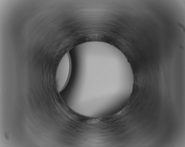 X0000103500086200809121021