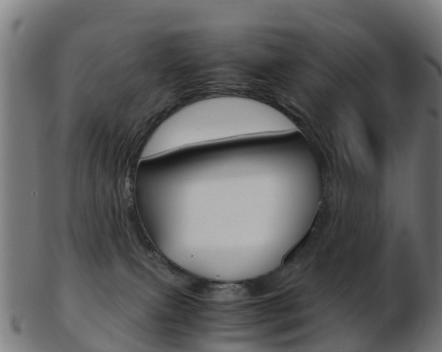 X0000103500087200809121021