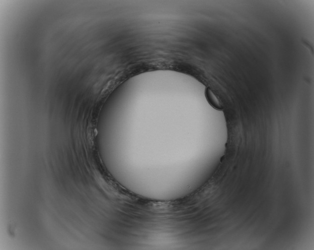 X0000103500088200809121021