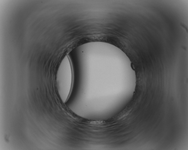 X0000103500089200809121021