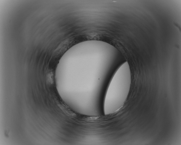 X0000103500090200809121022