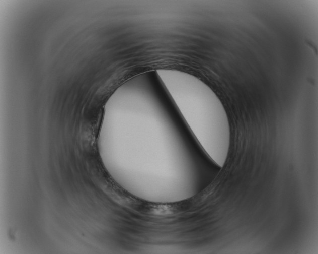 X0000103500091200809121022