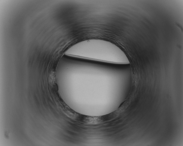 X0000103500093200809121022