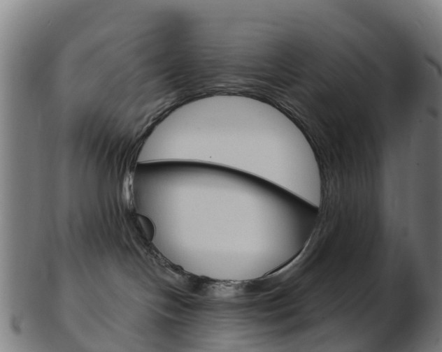 X0000103500094200809121022