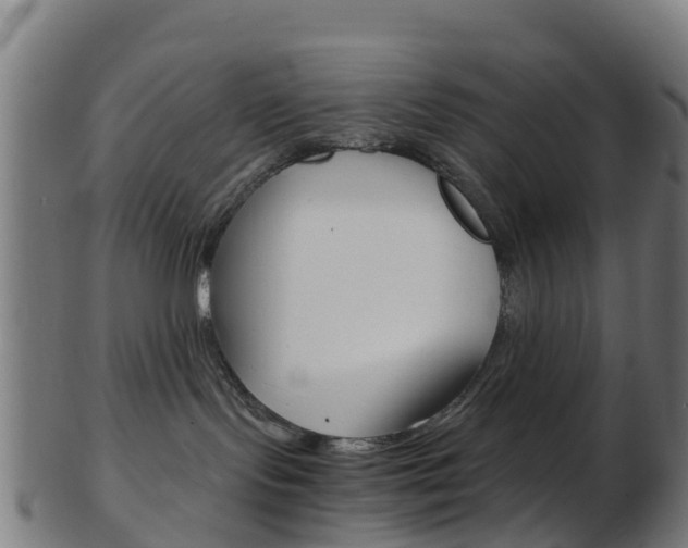 X0000103500095200809121022