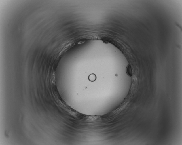 X0000103500096200809121022