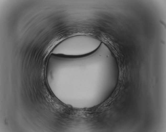 X0000103500098200809121021