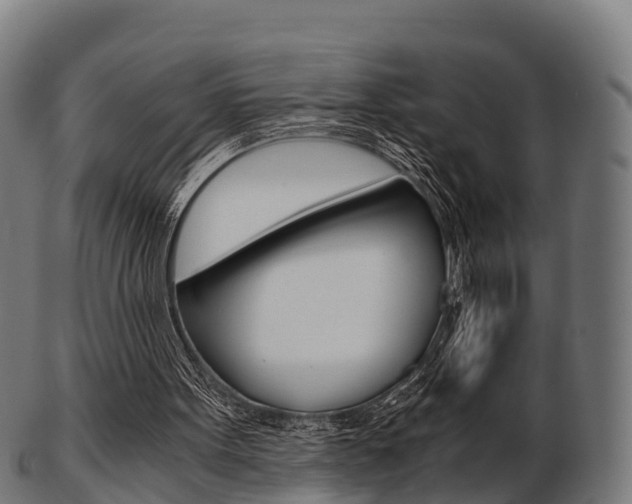 X0000103500099200809121021