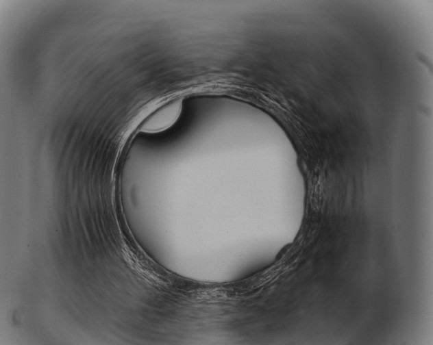 X0000103500100200809121021