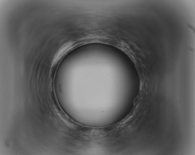 X0000103500101200809121021