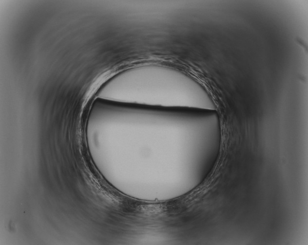 X0000103500102200809121021