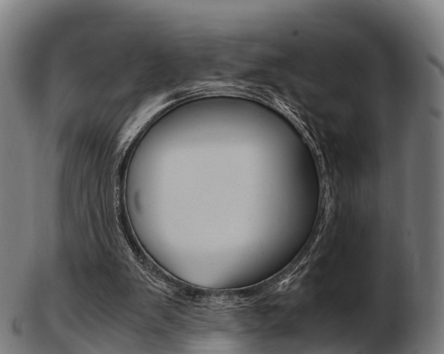 X0000103500103200809121021