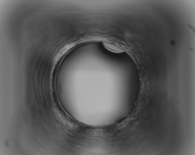 X0000103500104200809121021