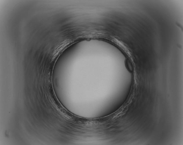 X0000103500105200809121021