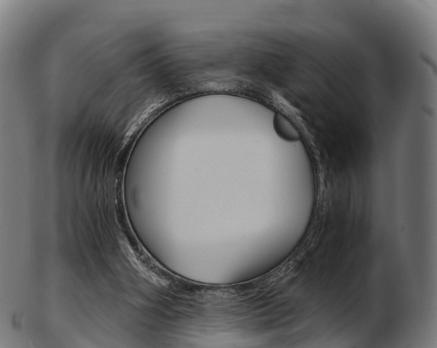 X0000103500106200809121021