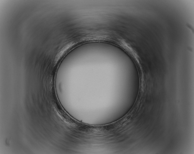 X0000103500107200809121021