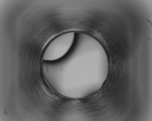 X0000103500108200809121021