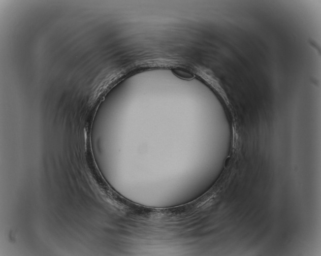 X0000103500109200809121021