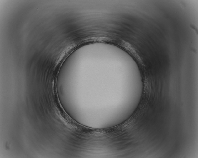 X0000103500110200809121021