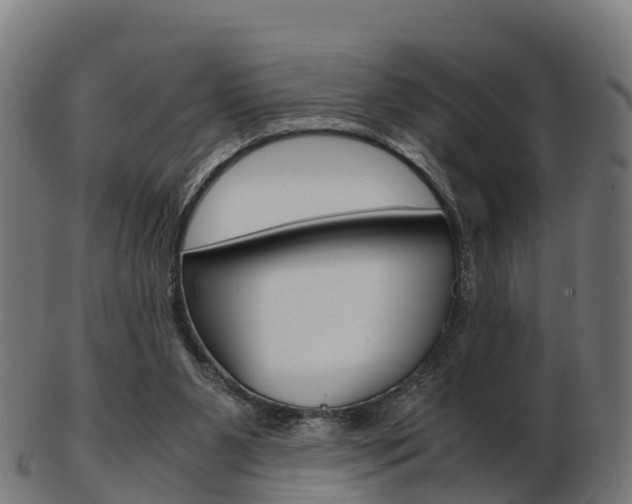 X0000103500111200809121021