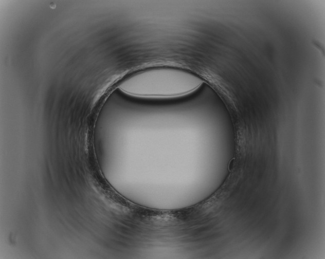 X0000103500112200809121021