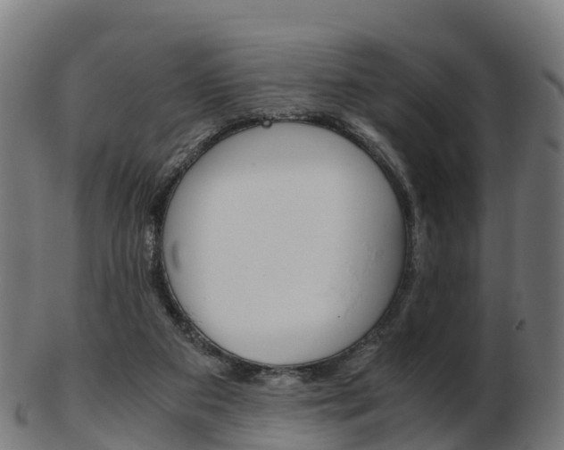 X0000103500113200809121021