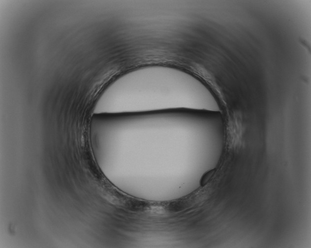 X0000103500114200809121021