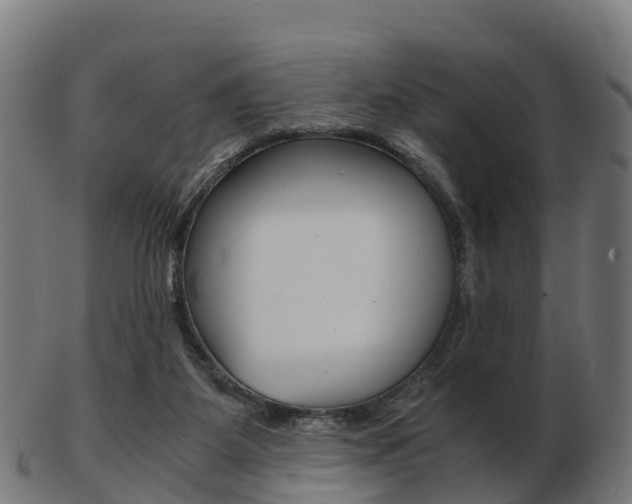 X0000103500115200809121021