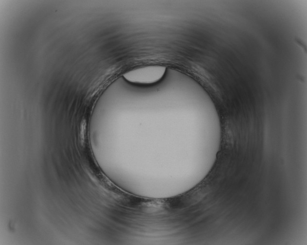 X0000103500118200809121020