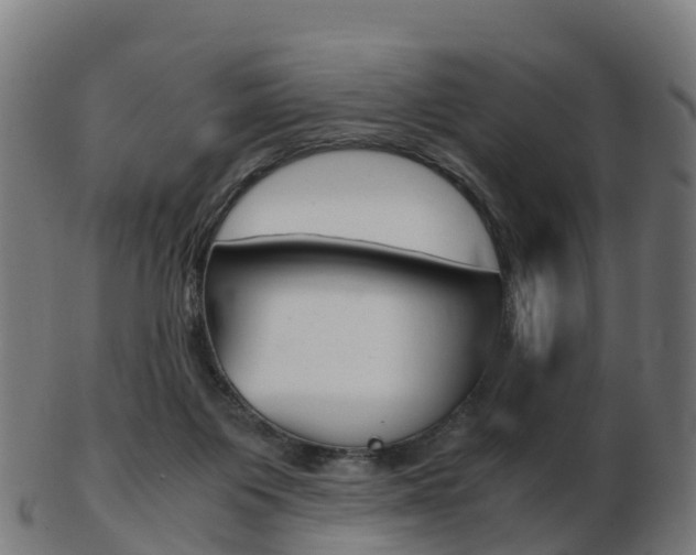 X0000103500119200809121020