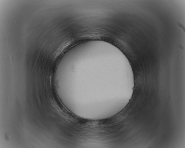 X0000103500120200809121020