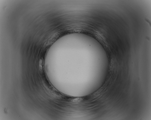 X0000103500122200809121020