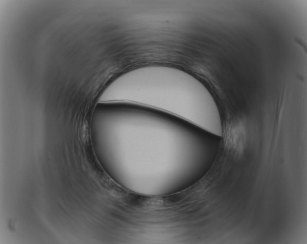 X0000103500123200809121020