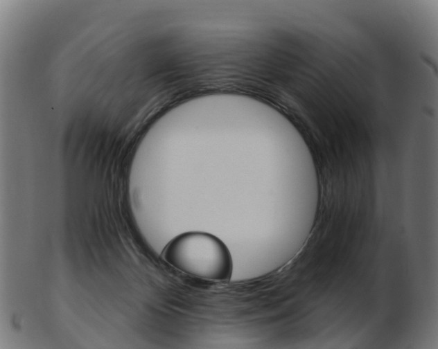 X0000103500124200809121020