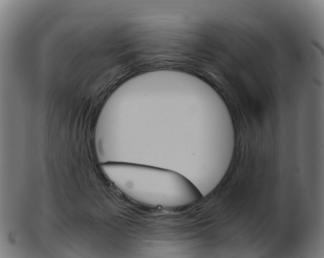 X0000103500125200809121020