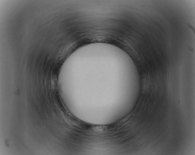 X0000103500126200809121020