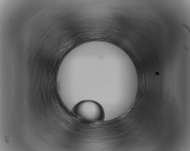 X0000103500128200809121020