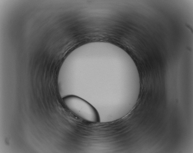 X0000103500132200809121020