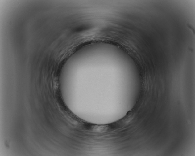 X0000103500135200809121020