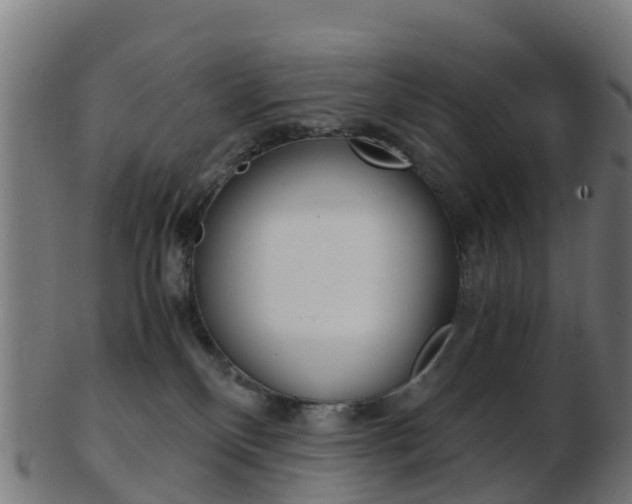 X0000103500136200809121020