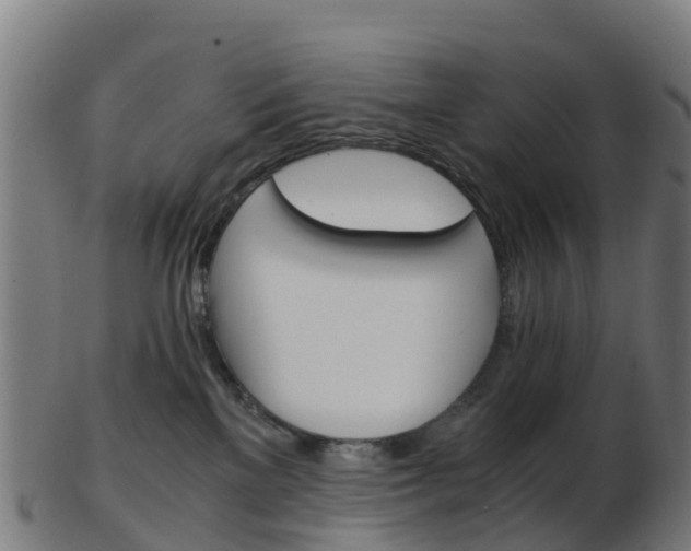 X0000103500137200809121020