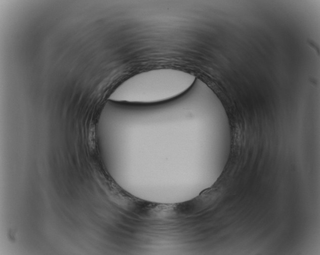 X0000103500138200809121020