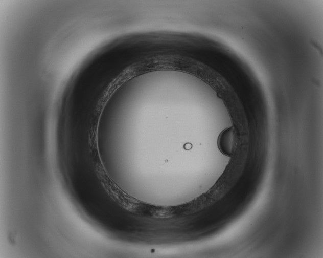 X0000103500143200809121020