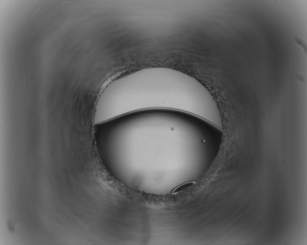 X0000103500144200809121020