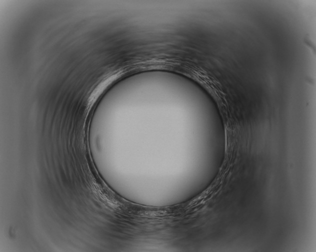 X0000103500147200809121019
