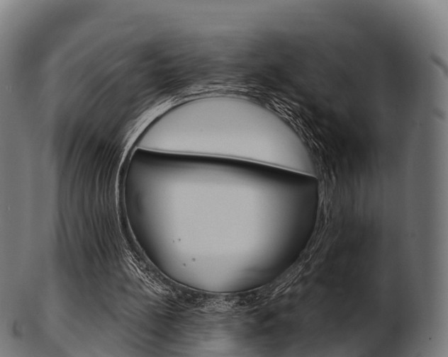 X0000103500148200809121020